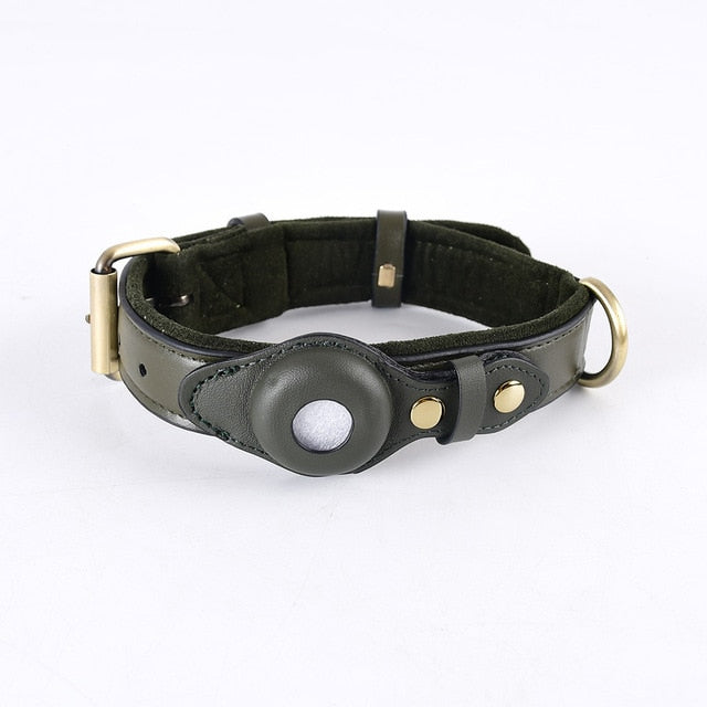 Leather Anti-Lost Dog Collar - Green / S