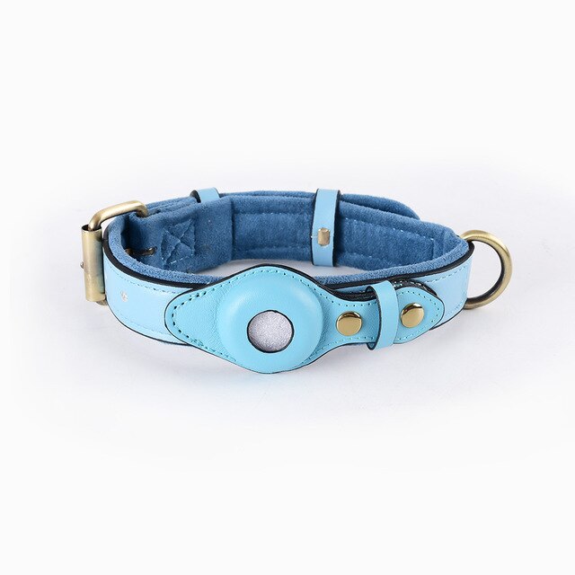 Leather Anti-Lost Dog Collar - Blue / S